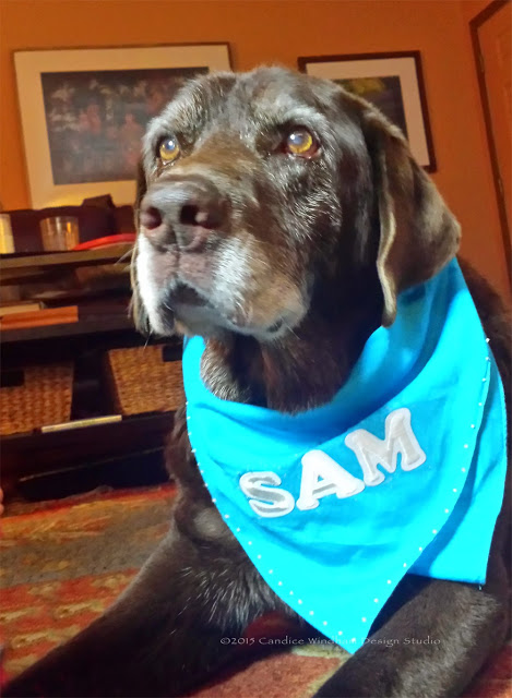 custom dog bandana joy letters