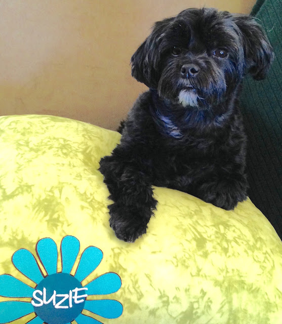 personalize a pillow for your pet
